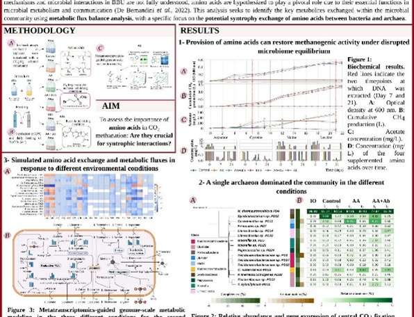 New Insights on Syntrophy by UNIPD!