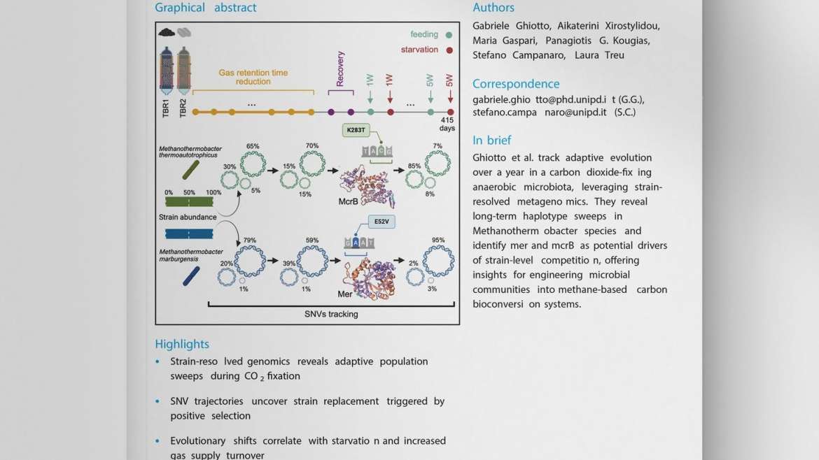 🧬Exploring genetic adaptation and microbial dynamics in engineered anaerobic ecosystems via strain-level metagenomics