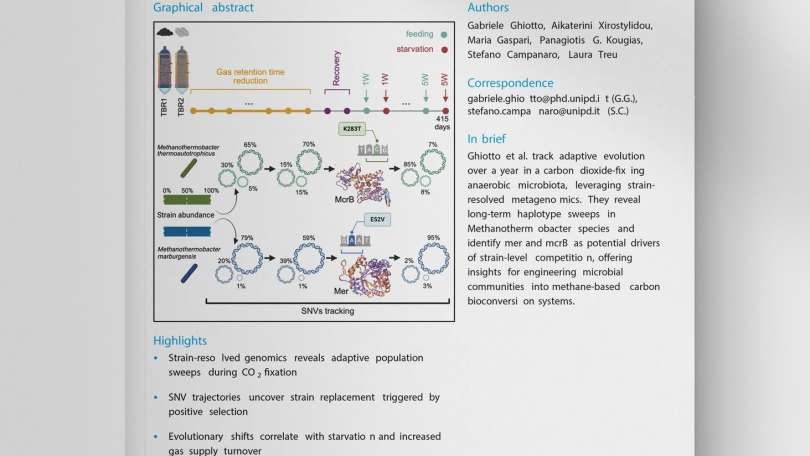 🧬Exploring genetic adaptation and microbial dynamics in engineered anaerobic ecosystems via strain-level metagenomics