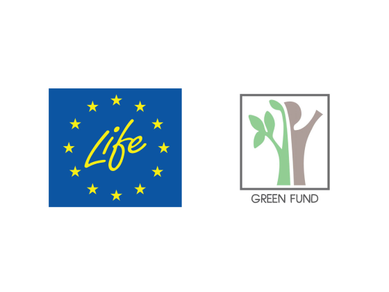 Project co-funded by the Green Fund for 2026